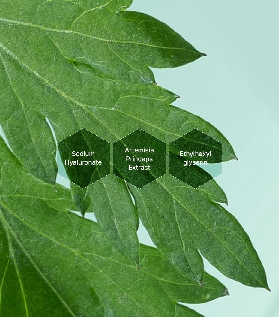 I’m From Mugwort Essence, Deep Calming Essence for Sensitive Skin, Hydrating & Skin Balancing, Vegan Korean Skin Care